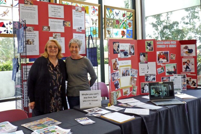 Booth at the Health & Wellness Fair - Bev and Mary
