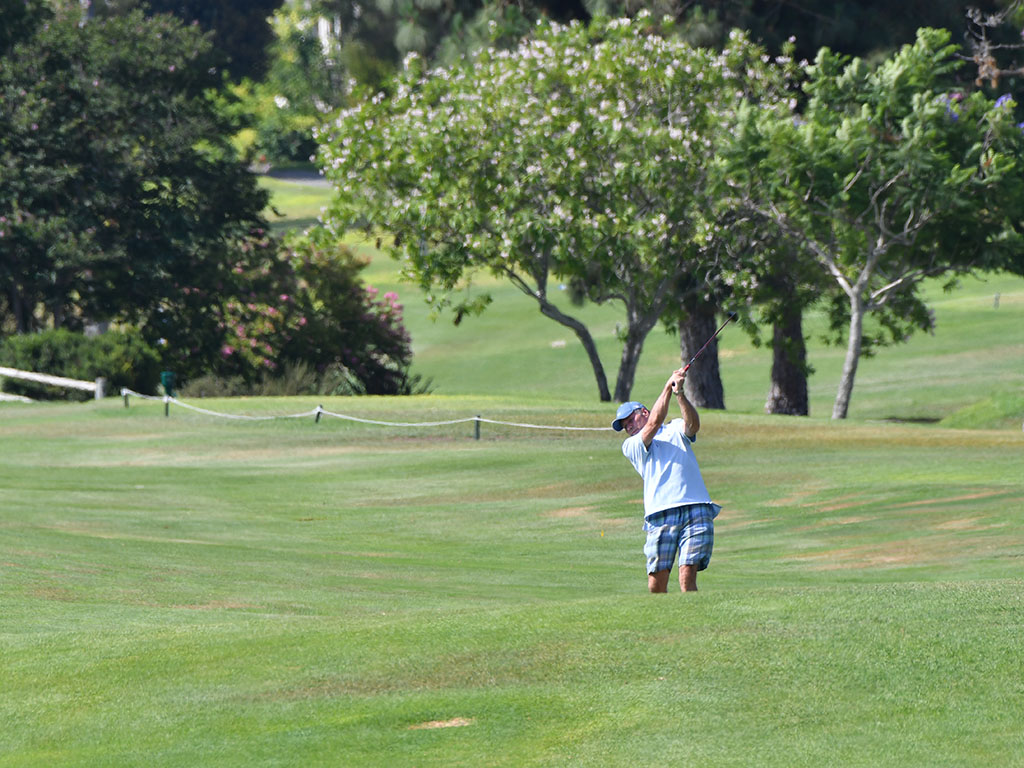 person playing golf