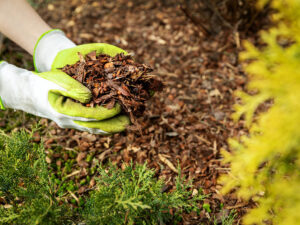 Get Free Mulch This Weekend