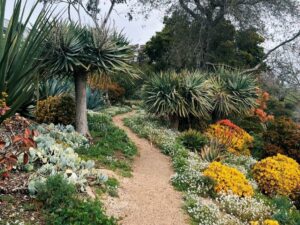 January Botanical Hike