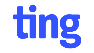 Village Partners with Ting for a Connected Future