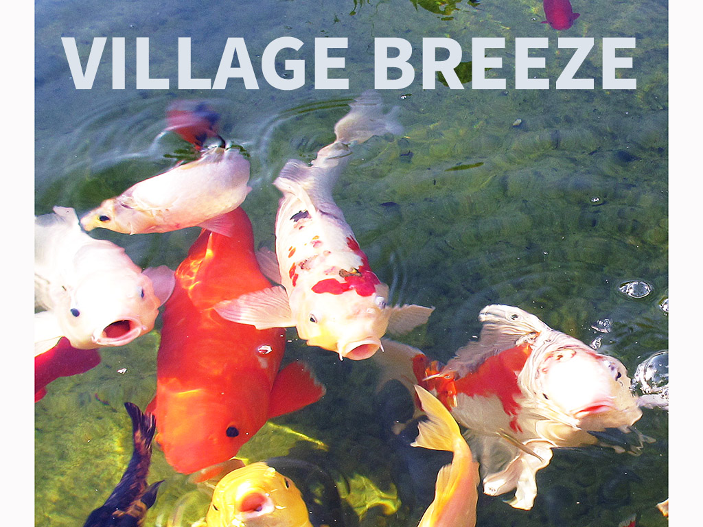 Jun/Jul 2021 Village Breeze