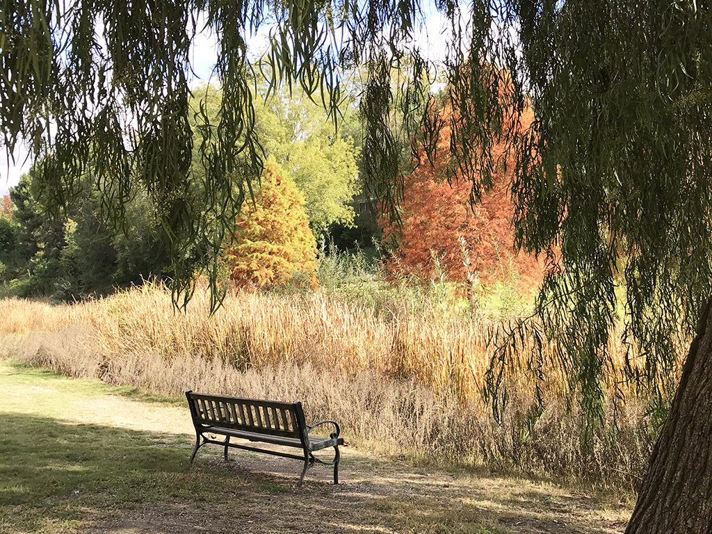 Oct/Nov 2020 Village Breeze