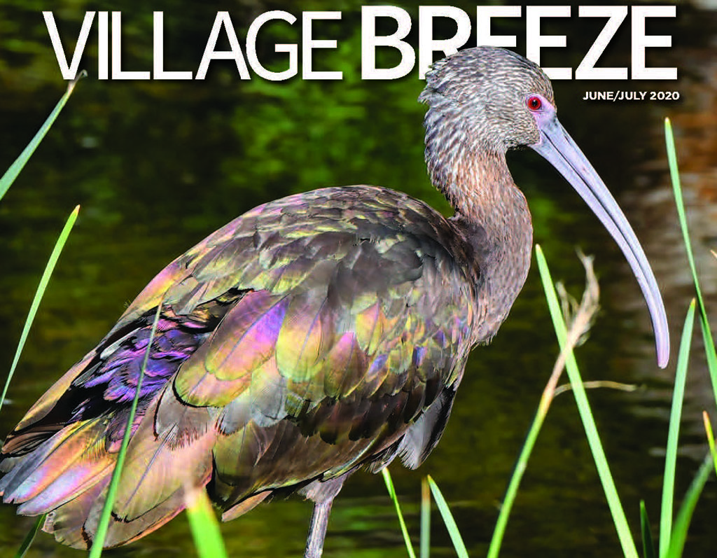 Jun/Jul 2020 Village Breeze
