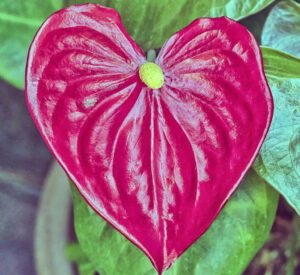 Check Out the Latest Village Breeze