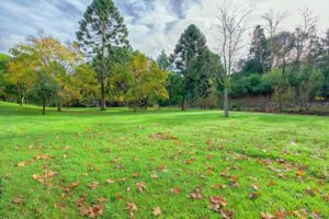 Landscaping Updates for the Village, Third Mutual