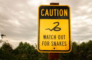 Snake Season Safety